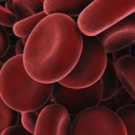 DiabetesHealth: Is it dangerous to continually have low-grade ketone levels  …