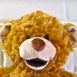 “Jerry The Bear” Lives with Type 1 Diabetes