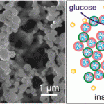 Injectable Nano-Network for Glucose-Mediated Insulin Delivery