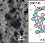 Your Diabetes May Vary: Nano System for Smart BG Control