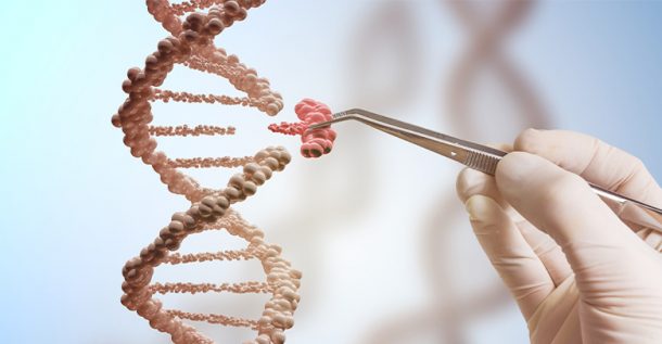 Deleting Gene in Mice Prevents T1D from Developing