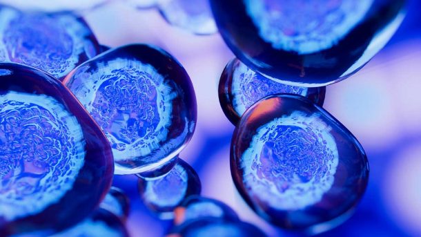 Engineered T Cells Show Promise as Effective Preventative for Diabetes