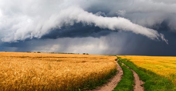 Study Reveals Beta Cell Destruction Begins Well Before Diagnosis