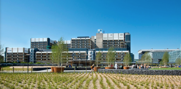 Curing Type 1 Diabetes with an ‘Inverse Vaccine’